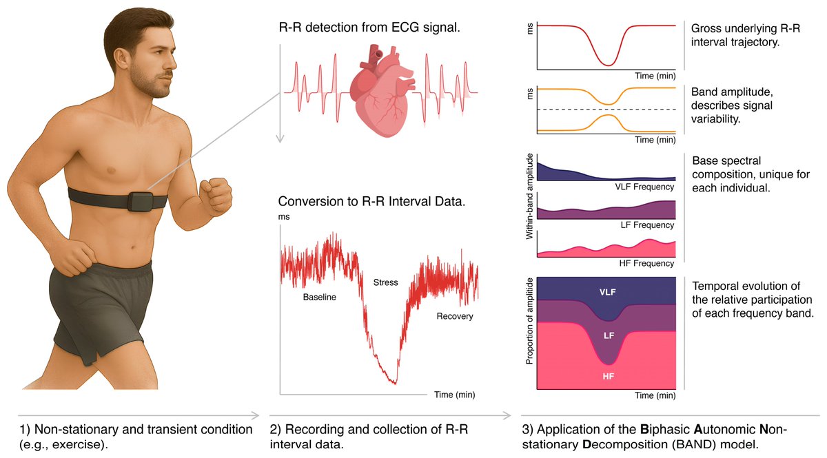Technologies_OA's tweet photo. 📘 New in Technologies
BAND: A Probabilistic Framework for Modeling Non-Stationary Heart Rate Variability in Rest–Stress–Rest Dynamics
🔗 https://t.co/5HSQEPpoNq
#HRV #DigitalHealth #AutonomicNervousSystem #SignalProcessing #HealthTechnology #TechnologiesJournal https://t.co/RHH797cL4z