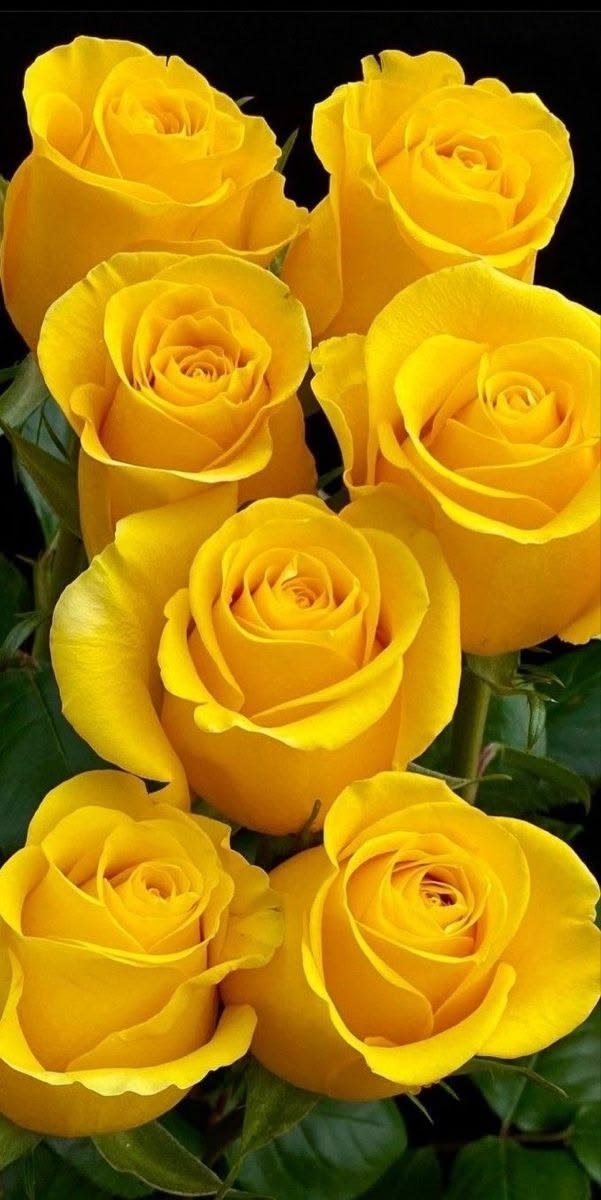 Yaherj's tweet photo. @CrismarSPG_ Por si no te han dado tus flores amarilla por oo menos digitales, niña crismar https://t.co/wkFWCa1AYb