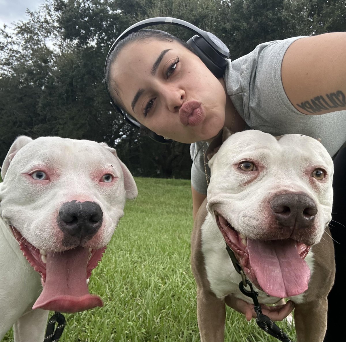 Ivyrayx29's tweet photo. We took a walk 🐕🚶‍♀️ , who said a girl can't Hage two  watch them both knots me 🙈🍑💦
Dogs love ❤️ 18+ only ^p*^o^*r~n ,🔞https://t.co/eAdD1cN9mM

#dogs #USA https://t.co/YPHe0y1Nto