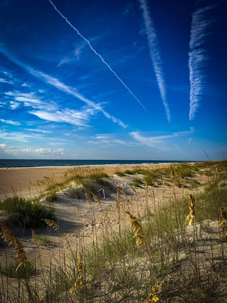 PaulOgawanb's tweet photo. Beautiful rows of majestic dunes stretch along the beaches of Cape Lookout. https://t.co/WRbCiObIvc