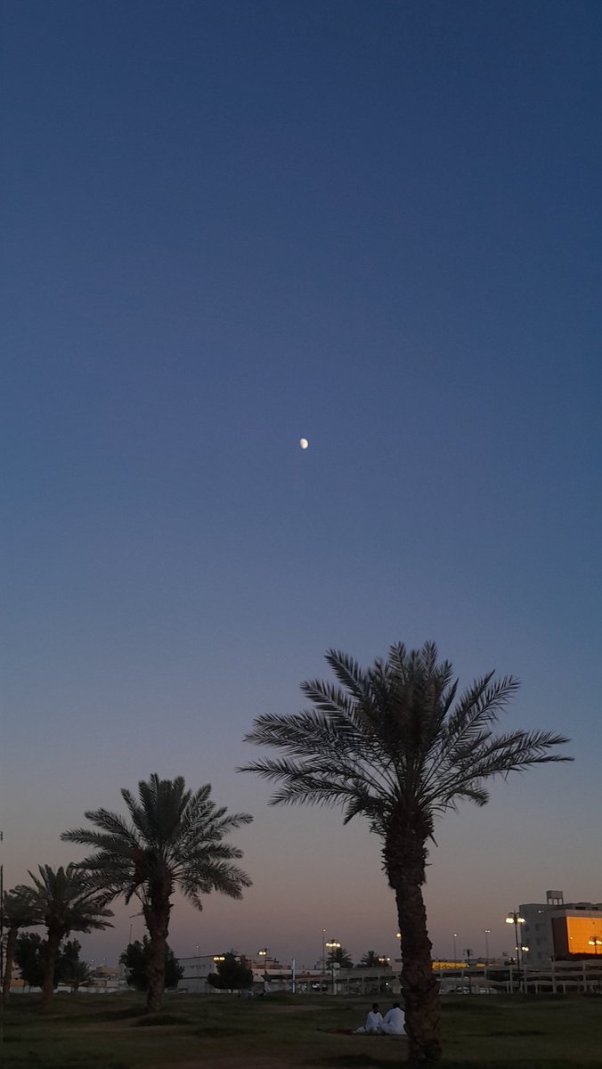 piilfh3's tweet photo. جسلة تُرد الروح الحمدلله ❣️ https://t.co/TCmU7GOLpH
