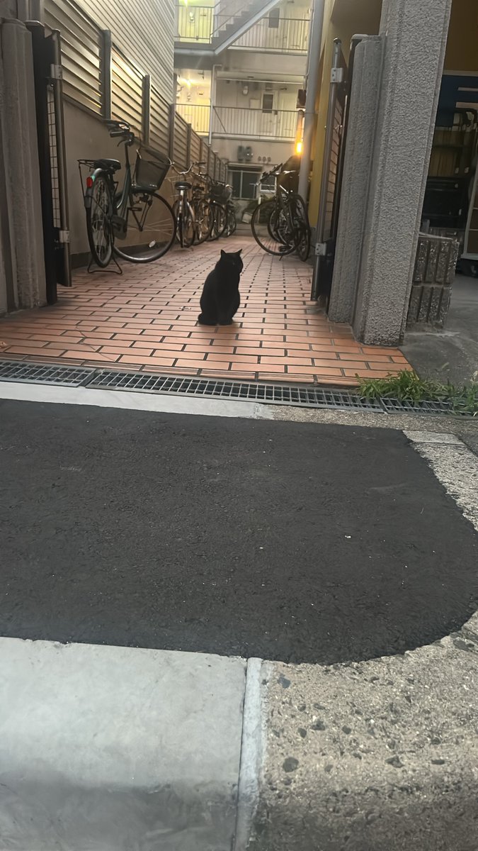 Lvzeho's tweet photo. なんかおる https://t.co/8S1ewGWooE