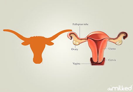 SullenSerf's tweet photo. I’m the pussy?? Are you sure about that https://t.co/yskdra23ma