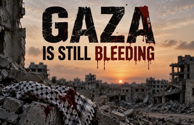 PalestineCultu1's tweet photo. Gaza is still bleeding https://t.co/LxVo8EJFCt