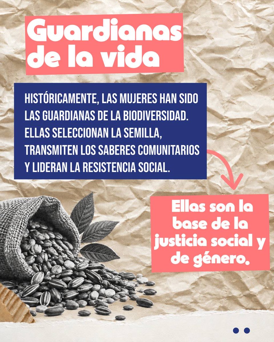 AlianzaCiudad_'s tweet photo. 🌱 Kulla Raymi: una celebración de la vida, la fertilidad y la fuerza de las mujeres.
Desde la sabiduría andina, reconocemos a quienes siembran, cuidan y defienden la vida y el territorio.
💜 Mujeres organizadas, comunidades que florecen.
#KullaRaymi #AlianzaCiudadana https://t.co/Fd6y9sGqOl