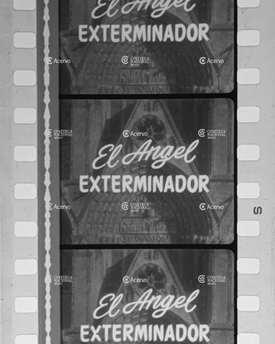 CinetecaMexico's tweet photo. ¡Se cumplen 60 años de EL ÁNGEL EXTERMINADOR! 🎬

🎥 El 23 de septiembre de 1966 se estrenaba la película dirigida por Luis Buñuel. La cinta se convirtió en una de las obras más emblemáticas del cine surrealista, al mostrar cómo un grupo de la alta sociedad mexicana queda inexplicablemente atrapado en un salón, incapaz de salir.