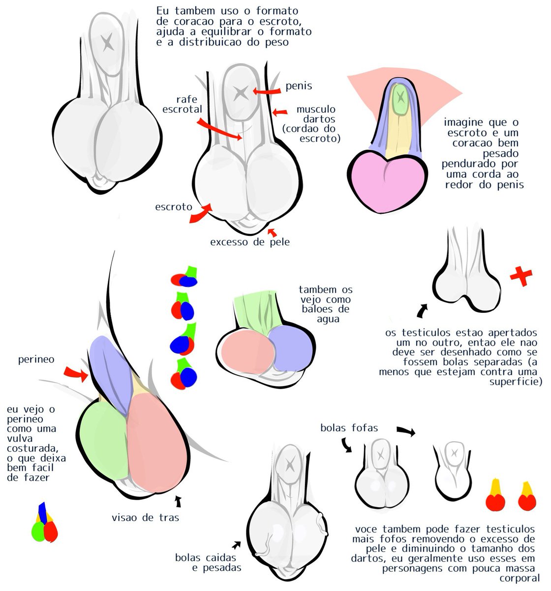 Nikto_npd's tweet photo. Balls anatomy https://t.co/19LKi51al5