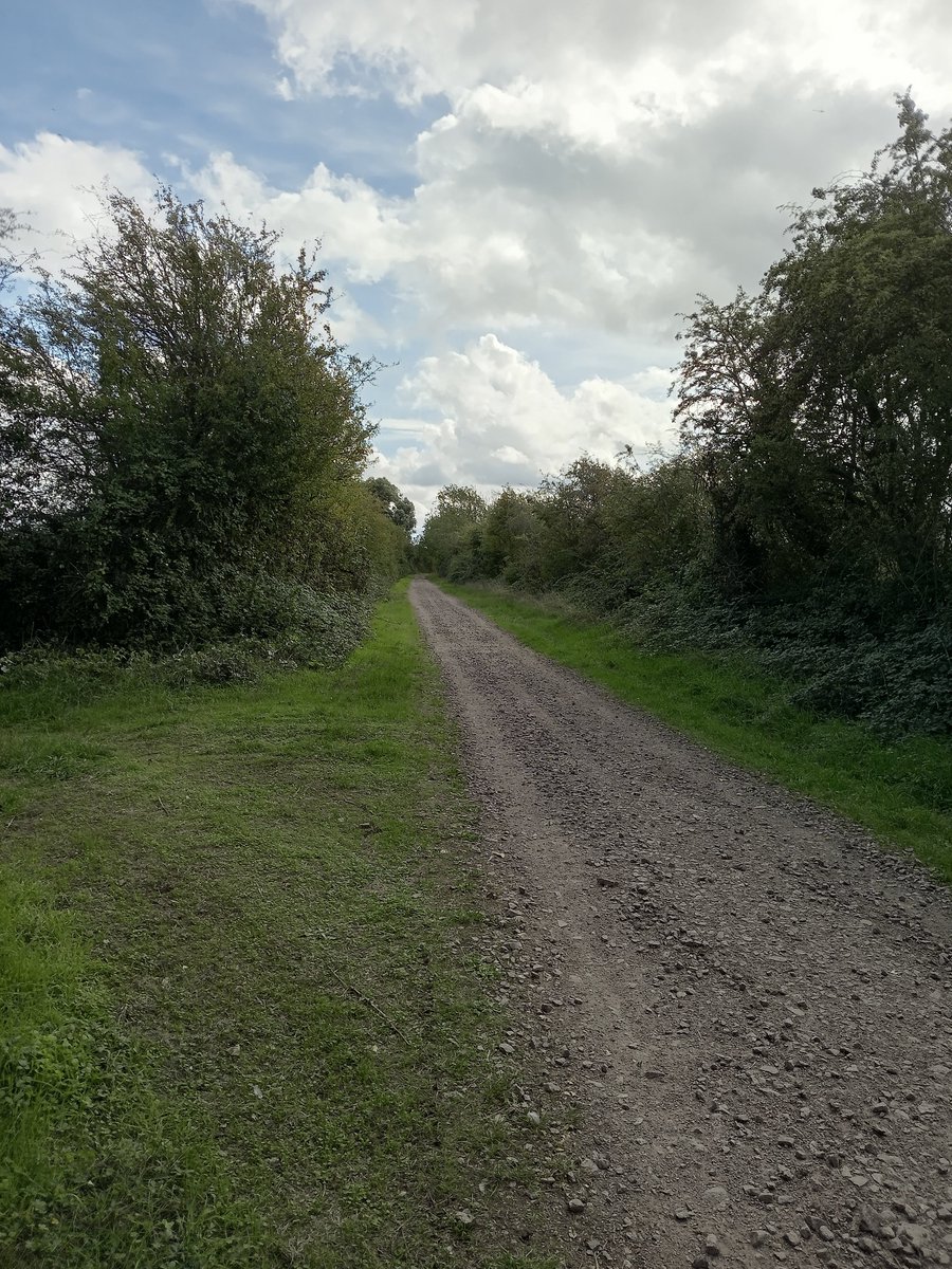 phil0073's tweet photo. Close to the site #RingsteadAndAddingtonRailwayStation on the old #NeneValleyRailway track run by #LNWR , now a #Greenway .#Northamptonshire.#PhilOnaBike #clouds #MondayMeander #FootpathFriday #BywayFriday #Railways https://t.co/P10CttznlB