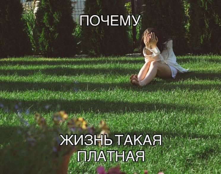 monaoqdy's tweet photo. https://t.co/NyS5aErQ6w