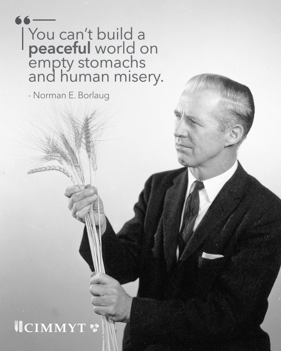 CIMMYT's tweet photo. CIMMYT was shaped by Norman Borlaug’s belief that fighting hunger could help build a more peaceful world. More than five decades later, that purpose still guides us.
On #InternationalDayOfPeace, we remember that food security can strengthen stability and dignity. https://t.co/3EkG294gRX