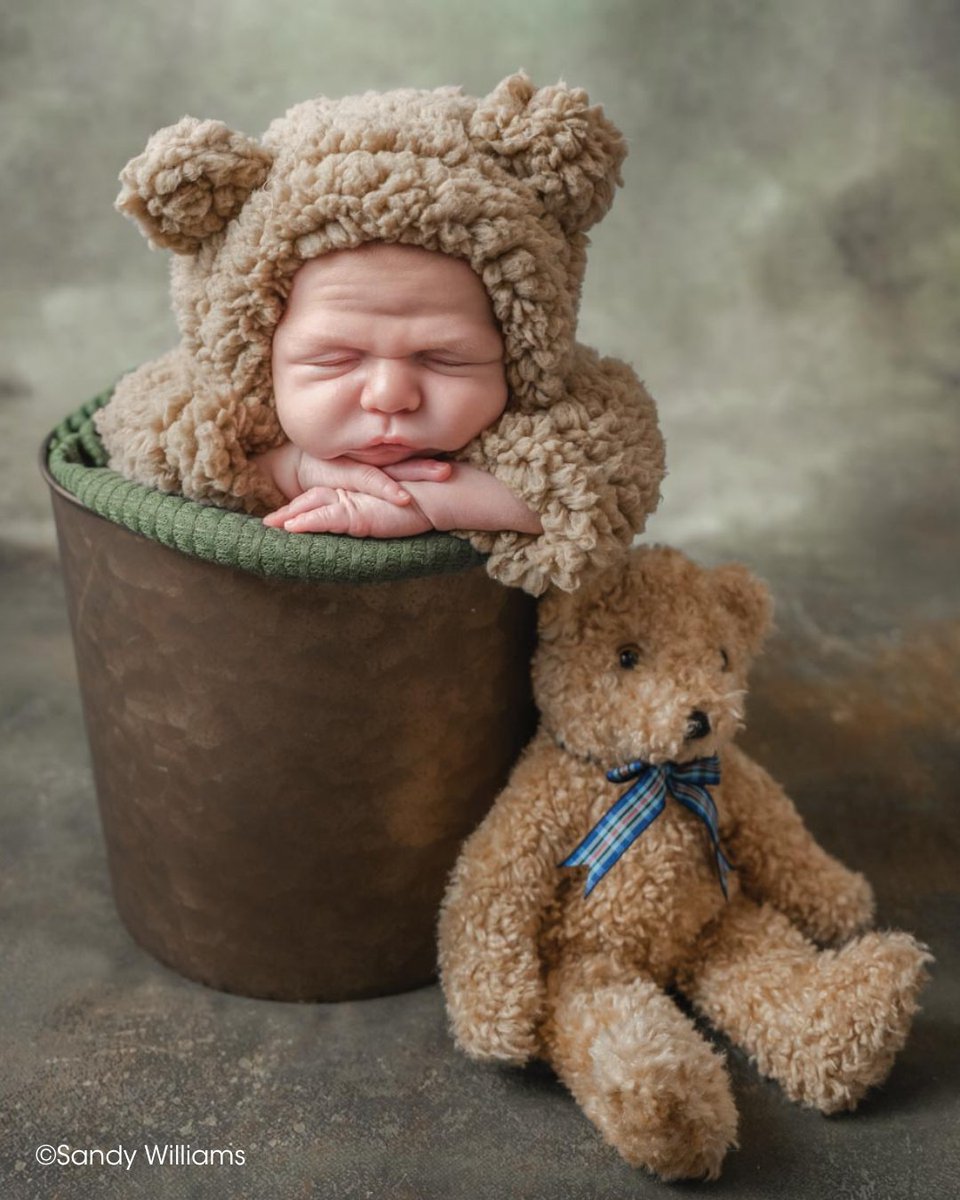 A baby dressed in a fluffy bear costume is peacefully asleep with arms resting on the edge of a brown basket. A plush teddy bear with a blue ribbon sits beside the basket. Copyright Sandy Williams.