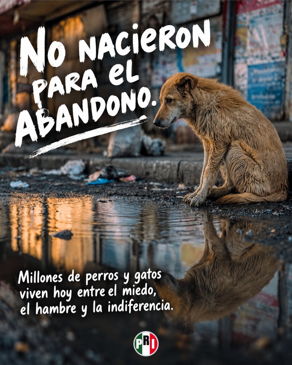 PRI_Nacional's tweet photo. Ellos no tienen voz para pedir justicia,
pero nosotros sí tenemos la obligación de alzarla por ellos.

México ocupa el primer lugar en América Latina en abandono animal.
Esa realidad no puede seguir siendo paisaje.

Por eso, el PRI impulsará penas más severas contra el maltrato animal.

Porque quien lastima a un ser indefenso debe enfrentar consecuencias.
Protegerlos también es defender nuestra humanidad.