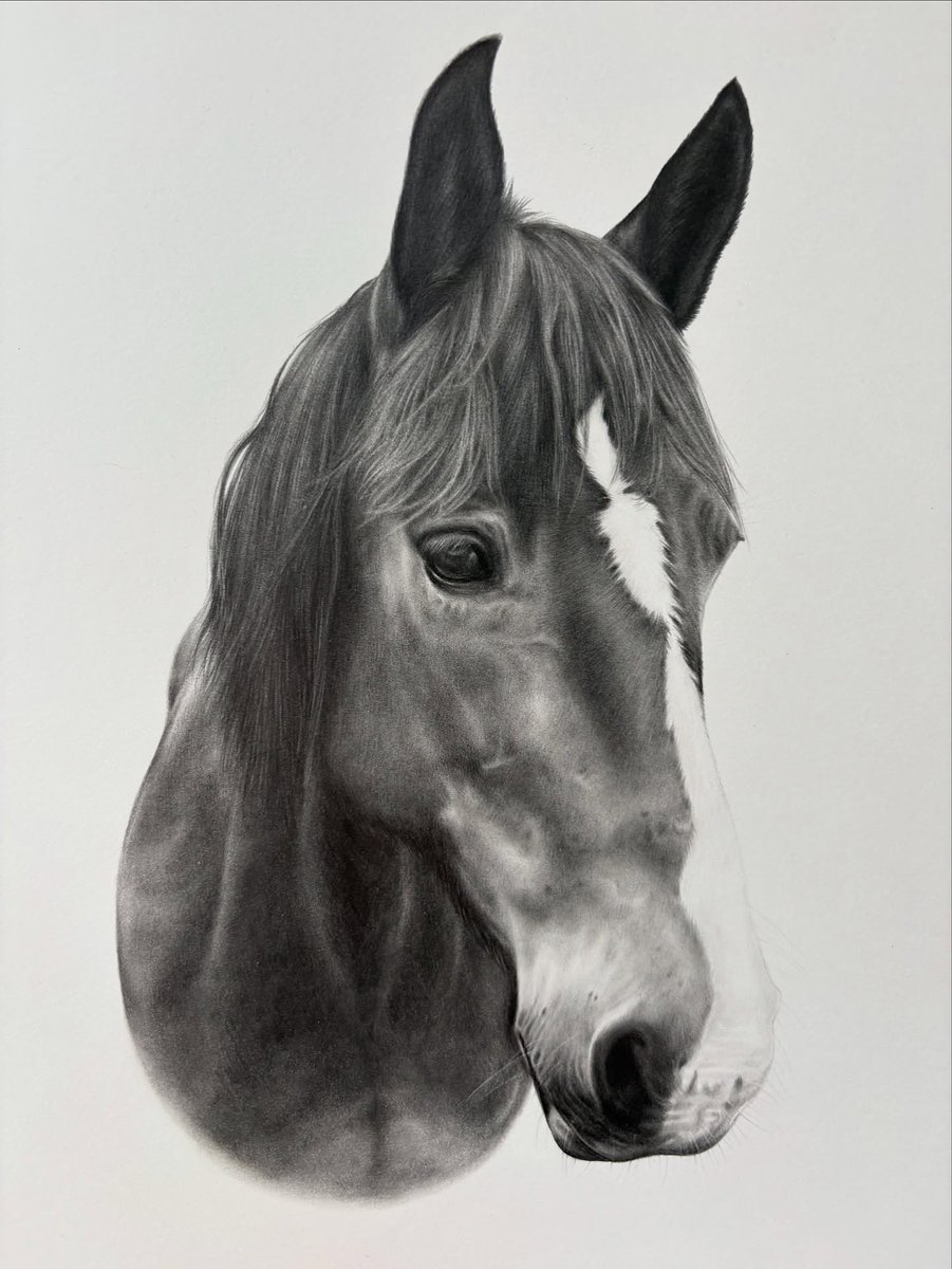 CorrineBusscher's tweet photo. Hey loves, it’s been a while. Sorry I’ve been quiet—life got hectic, so I needed time to regroup. I’m back with a new portrait of Maddy Moo, commissioned as a birthday memorial gift. So grateful this is my job! Sending love and midweek vibes. https://t.co/gZ6CpS4MOG