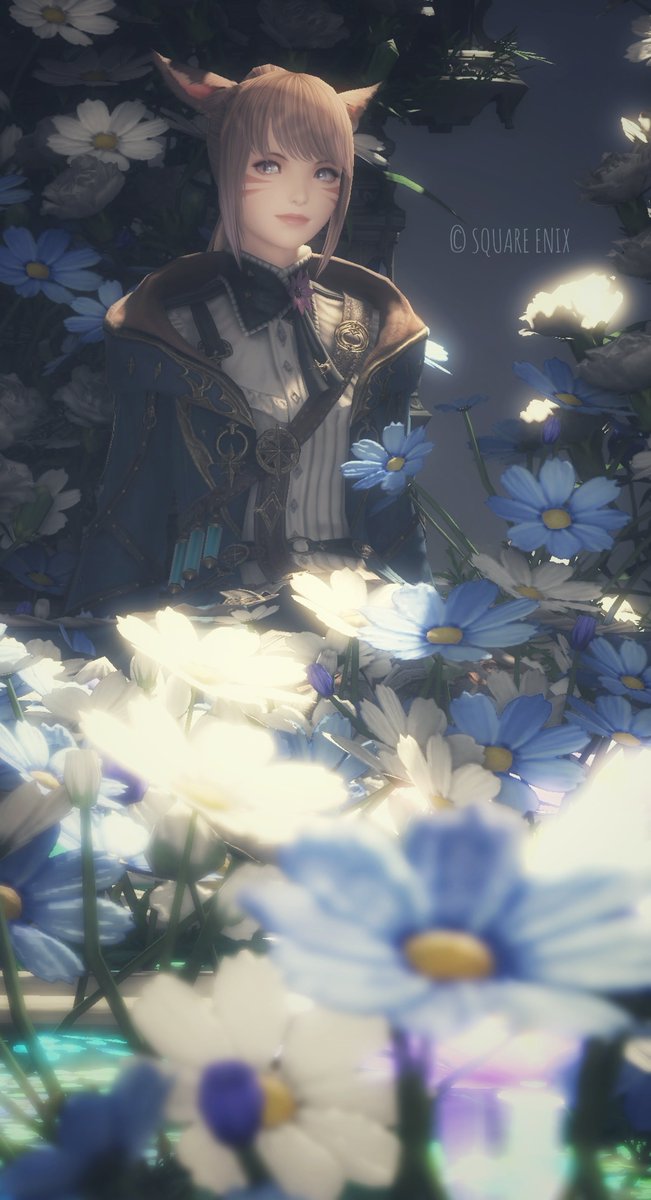 Chil_Miy's tweet photo. #ミコッテ #おはミコ
#eo_Re https://t.co/1MAgbvEJh0