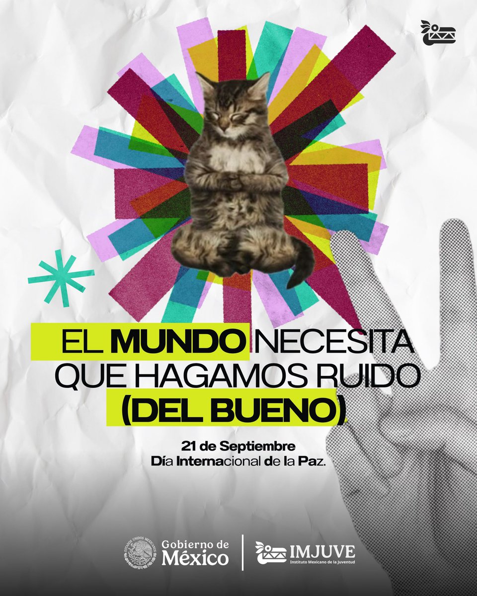 imjuvemx's tweet photo. 🤍RUIDO DEL BUENO🤍
#Diainternacionaldelapaz #paz
#jovenestransformandomexico #carrusel https://t.co/4J1qCjhI0d