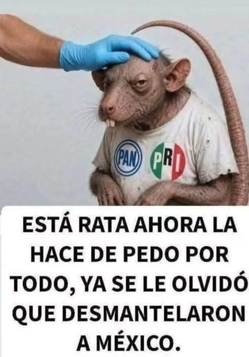miss_moxxa92's tweet photo. 🤣🐁👇🏻👇🏻🤣🐁👇🏻👇🏻🤣🐁👇🏻👇🏻👇🏻 https://t.co/RKNoTJCclL