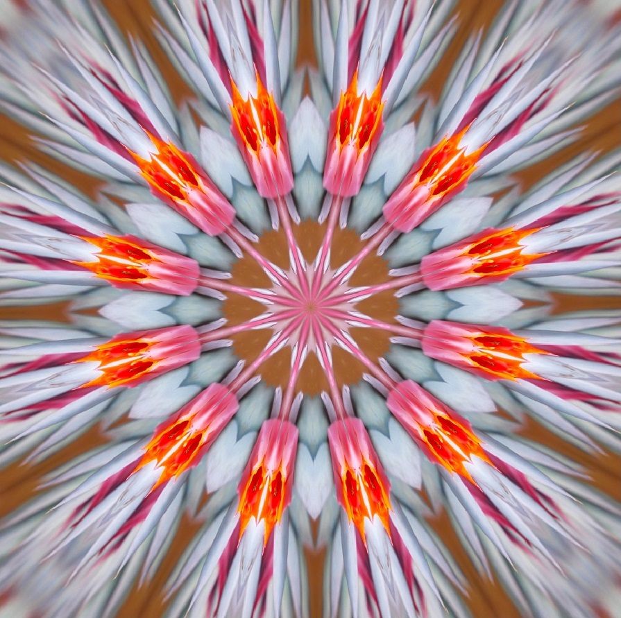 GoetterfunkenDE's tweet photo. Aus der Werkserie „Götterfunken (Naturmandalas)“

#Götterfunken #Naturmandalas #Kunst #Fotografie #DigitalArt #NaturPur #Blumen #Pflanzen  #Meditation #Yoga #Frieden #Freiheit #BlickNachInnen #Heilig #Leben #Schöpfung #Gaia  #Urquelle #Liebe #IchBin https://t.co/wjmOCHSaUR