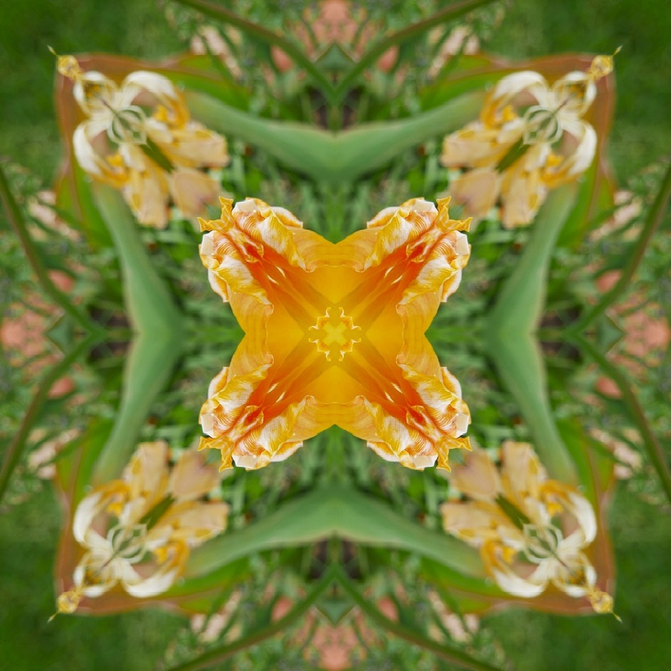 GoetterfunkenDE's tweet photo. Aus der Werkserie „Götterfunken (Naturmandalas)“

#Götterfunken #Naturmandalas #Kunst #Fotografie #DigitalArt #NaturPur #Blumen #Pflanzen  #Meditation #Yoga #Frieden #Freiheit #BlickNachInnen #Heilig #Leben #Schöpfung #Gaia  #Urquelle #Liebe #IchBin https://t.co/77pDMsTEFZ