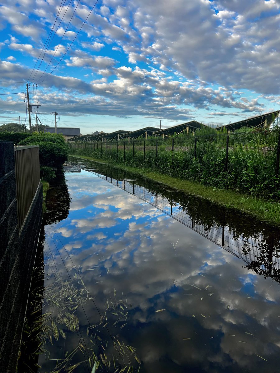 CAPELiN_P's tweet photo. ちょっと綺麗でムカつくw https://t.co/G7hAhNn9Q4