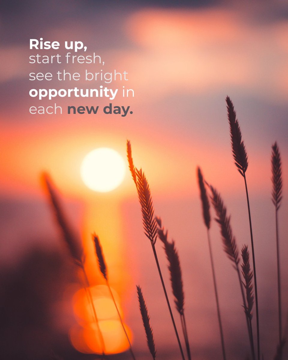 TRettkowski's tweet photo. Rise up. Start fresh. Every new day brings a bright opportunity to begin again. 🌅✨

#newdaynewmindset #riseandgrind #freshstart #dailymotivation #positivevibes #keepmoving https://t.co/Mu4CWBMduO