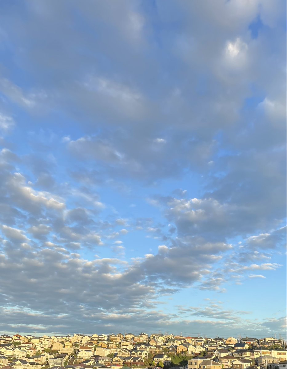kogah1's tweet photo. 横浜、朝6時、鬱陶しい雨台風が去り久々に青みのある青味空が眩しい
#横浜
#台風
#青味空 https://t.co/AhCK18yDOa