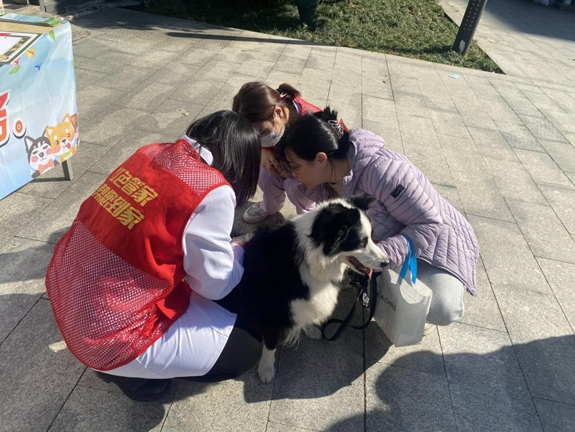 LynnetteBoeck's tweet photo. Este sábado, junta de vecinos! Charla sobre cuidado de mascotas y merienda compartida en el parque central, ven con tu amiguito de cuatro patas! https://t.co/N4O0nVXnka