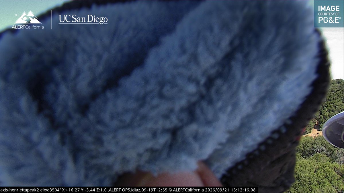 ALERTCalifornia's tweet photo. Good news for all of our condor enthusiasts, the Henrietta Peak cameras were just cleaned by one of our regional partners. The spiderwebs that were obscuring the view have been removed. Now, at 2:15 p.m. PT, there's a condor live on the feed: https://t.co/uGN9sHSbxo https://t.co/obqP3QMEYV