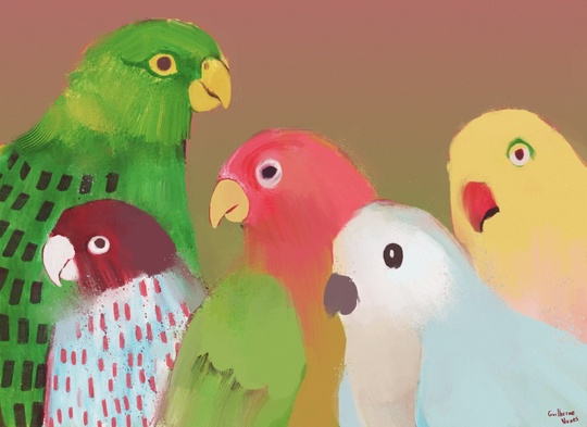 guilhernunes_'s tweet photo. birds https://t.co/0x9ML40tmG