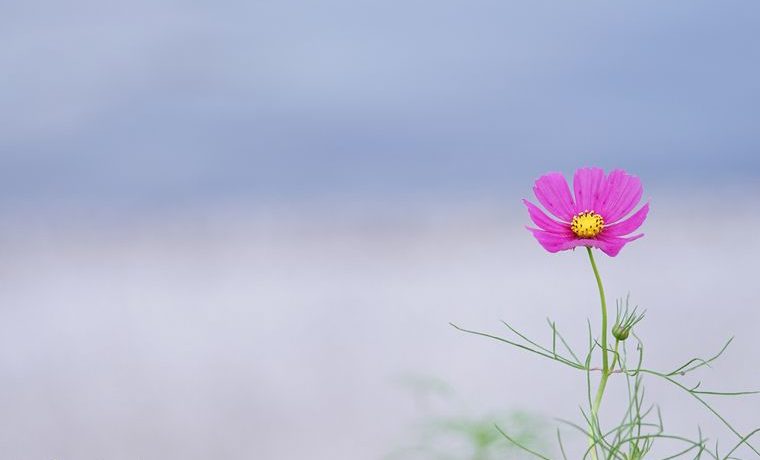 MorningcallC's tweet photo. おはようございます https://t.co/QYBstUcpKw