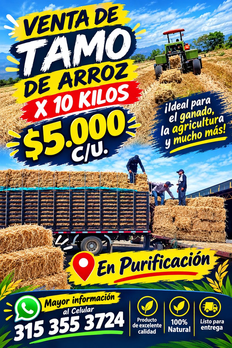 JaimeC45805's tweet photo. #TamoDeArroz #PurificaciónTolima #VentaDeTamo #Agricultura #Ganadería #CampoColombiano #Tolima #ProductosDelCampo https://t.co/WrvF1gAk0G