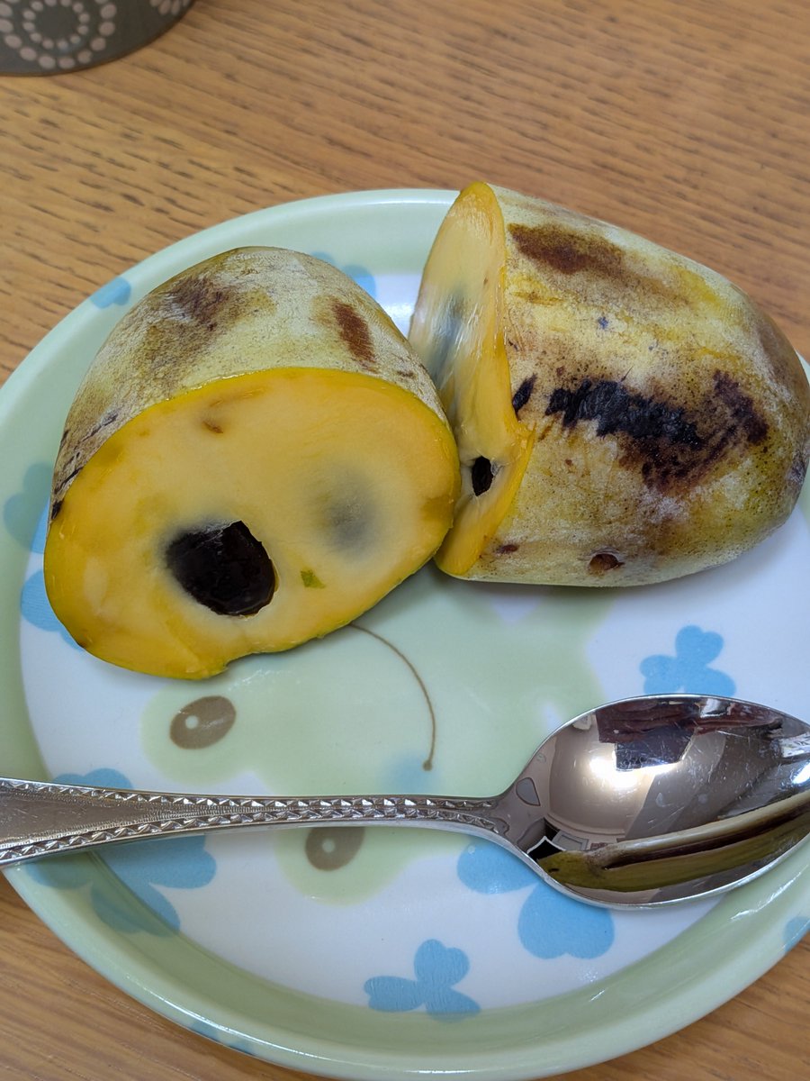 Am2Tamtam's tweet photo. 季節が急に秋になり、皆さんお馴染みの果物「ポポ」がどこの店先にも並び始めましたね。
マンゴーのような口当たりカスタードクリームの様な風味でお馴染みの果物ですネ♪

アタシの一番好きな果物は巨峰だな〜。
#ポポ 
#果物 
#秋 https://t.co/kkp69pwUqg
