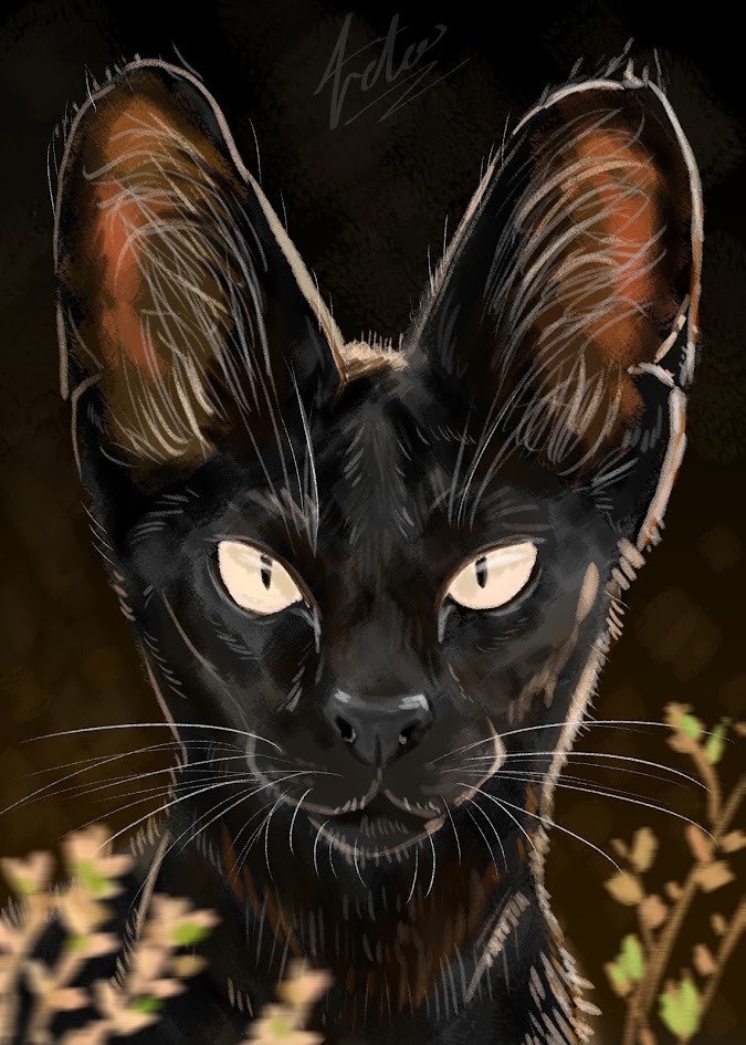 AsiesTetoDraws's tweet photo. Little #serval sketch! 🐈‍⬛🐈‍⬛🐈‍⬛ https://t.co/veph5ixJdx