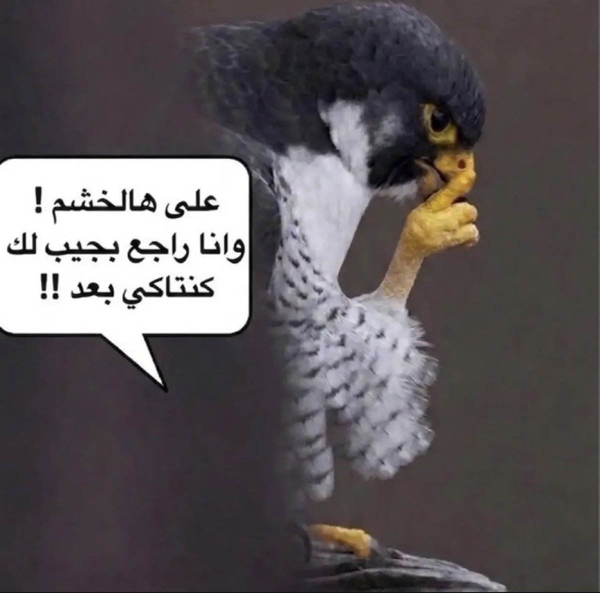 sssssssssd_'s tweet photo. @Ahmed695749 https://t.co/Lqc9f7h8zJ