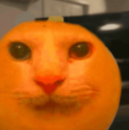 Fruitcats_SOL's tweet photo. Join the cult!

(More pfps in in the replies) https://t.co/Y8h7Vn5tie