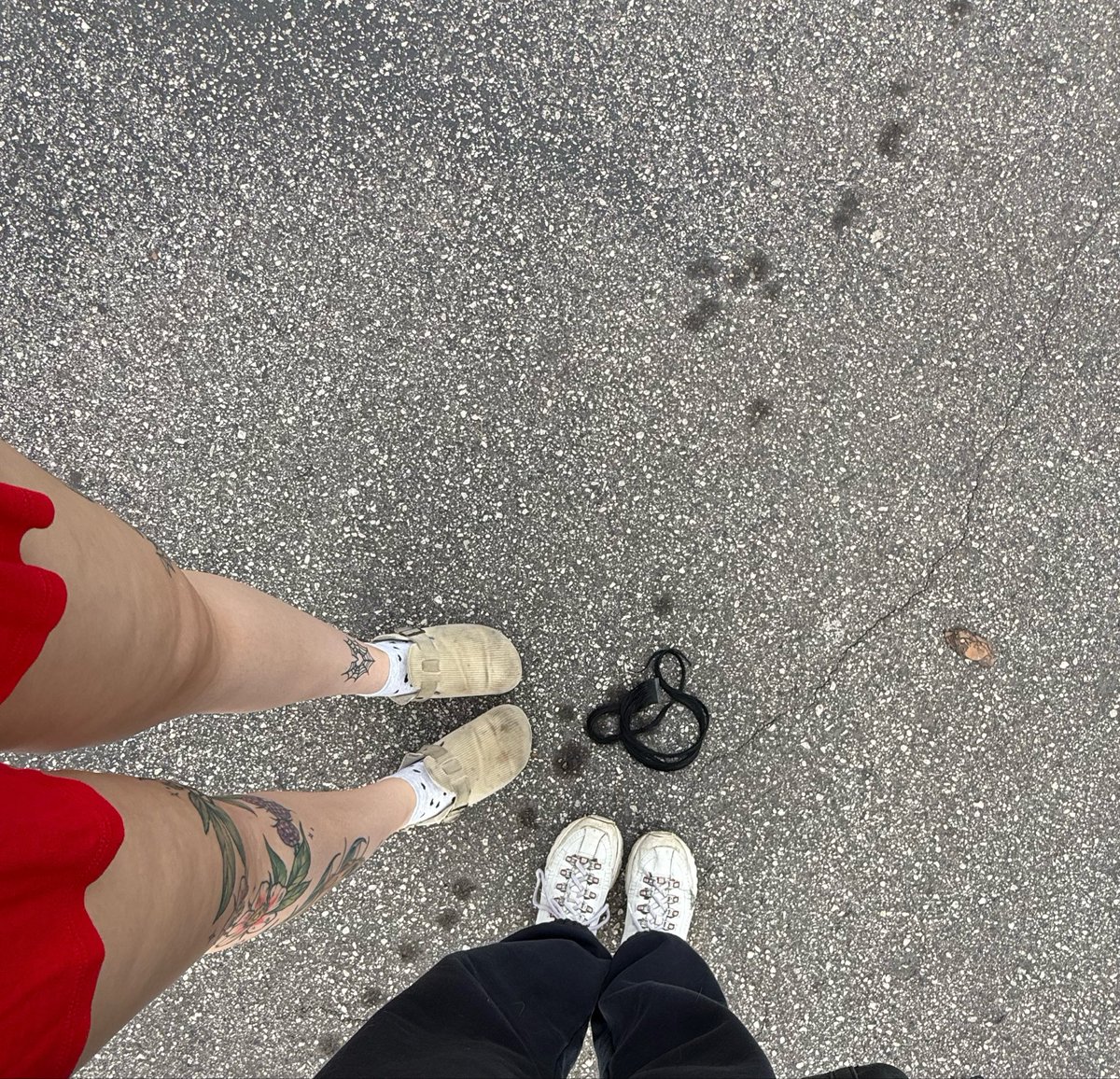 wisstype's tweet photo. A baddie lost her wings in the parking lot https://t.co/rW93h2tQy5