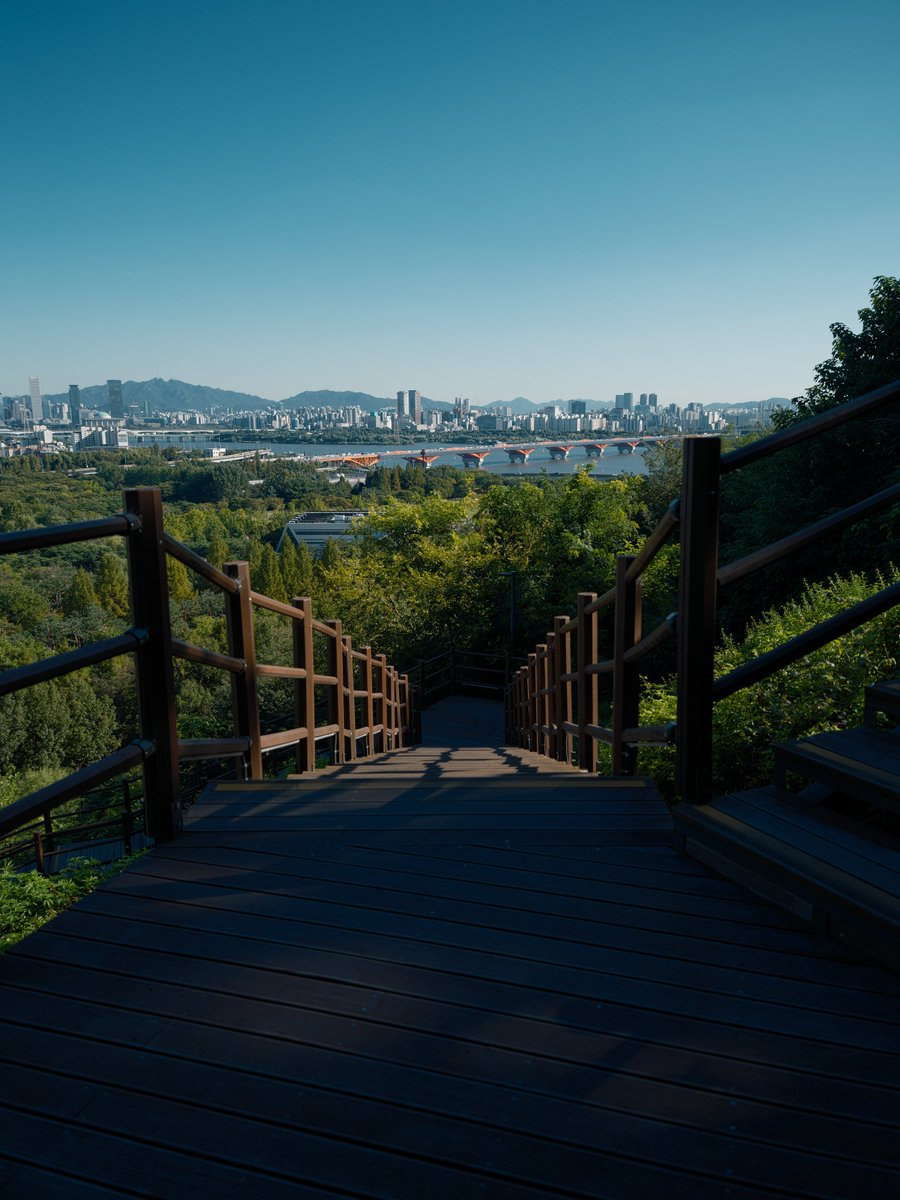 sigroya's tweet photo. 2026.09
광각으로 바라본 #하늘공원 -1

#GFX100S #GF2035 #SILKYPIX https://t.co/Tq5PQ1DtPe