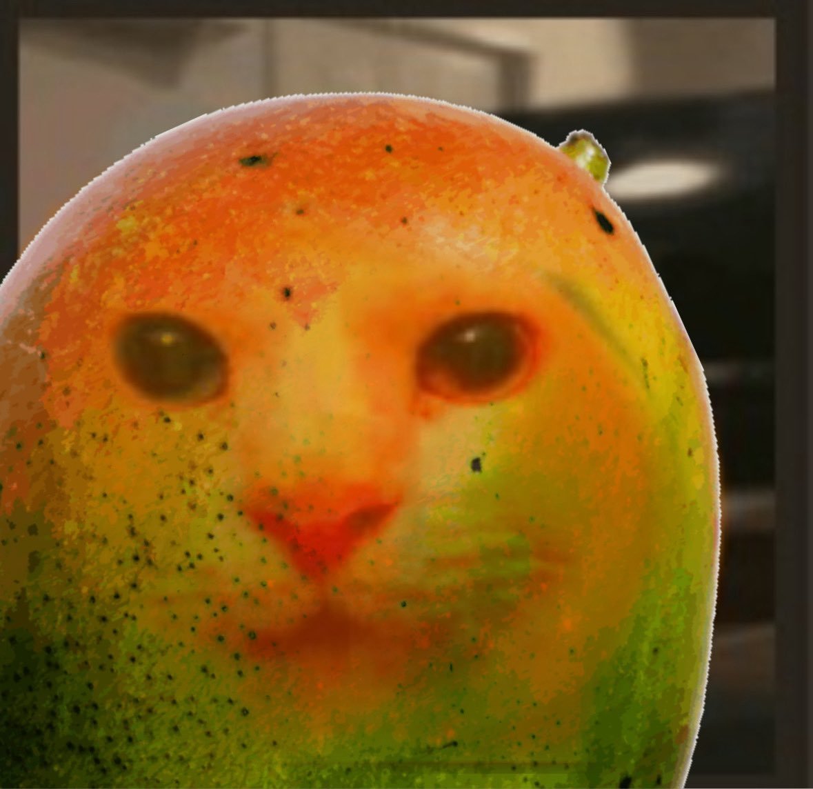 Fruitcats_SOL's tweet photo. https://t.co/Rln3s78hyW