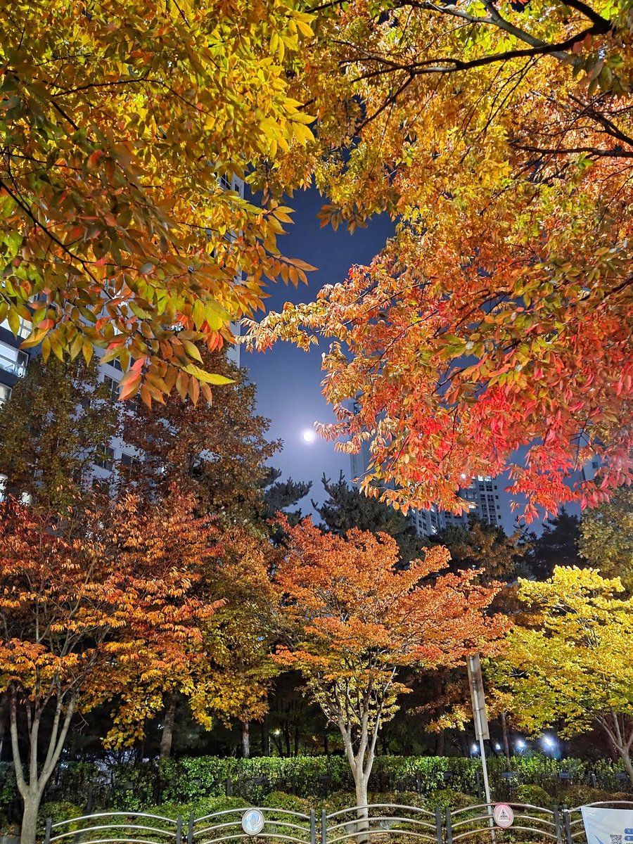 CamilleColwc8h's tweet photo. Supermoon https://t.co/xyybXUle3y