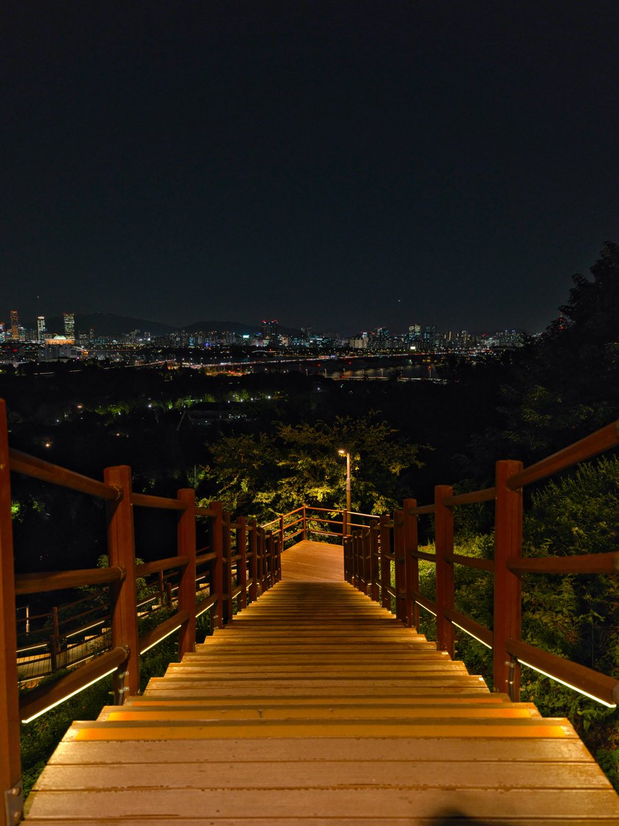 sigroya's tweet photo. 2026.09
광각으로 바라본 #하늘공원 -3

#GFX100S #GF2035 #SILKYPIX https://t.co/5BwHUZbZDU