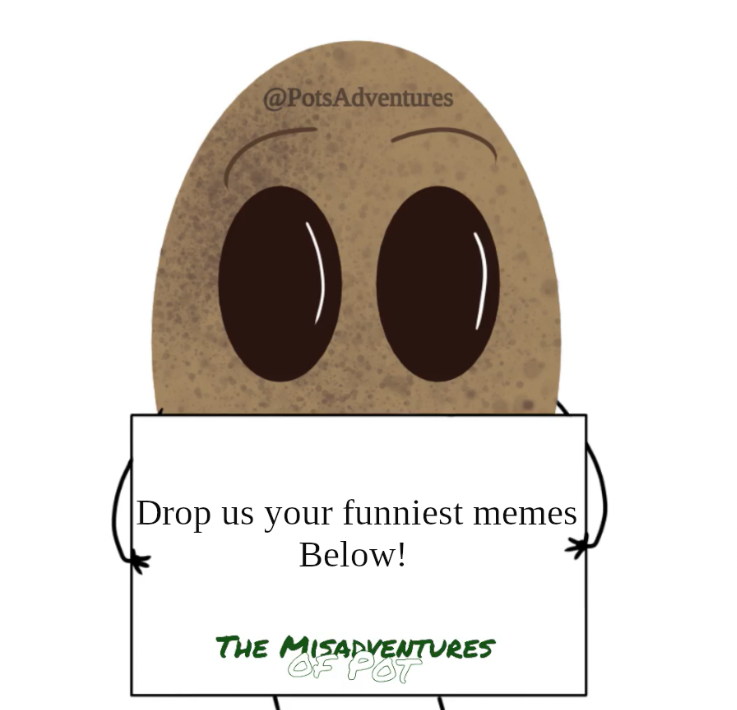 PotsAdventures's tweet photo. Happy Friday, End the week with your best memes! https://t.co/sr8AIYklQq