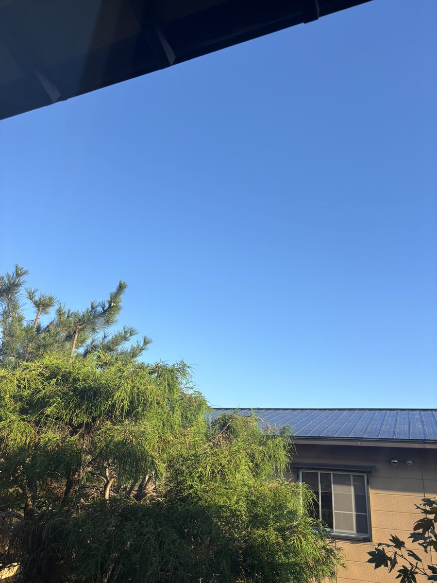 SEED0117's tweet photo. 函館の朝☀️ https://t.co/pJoCdPq6bY
