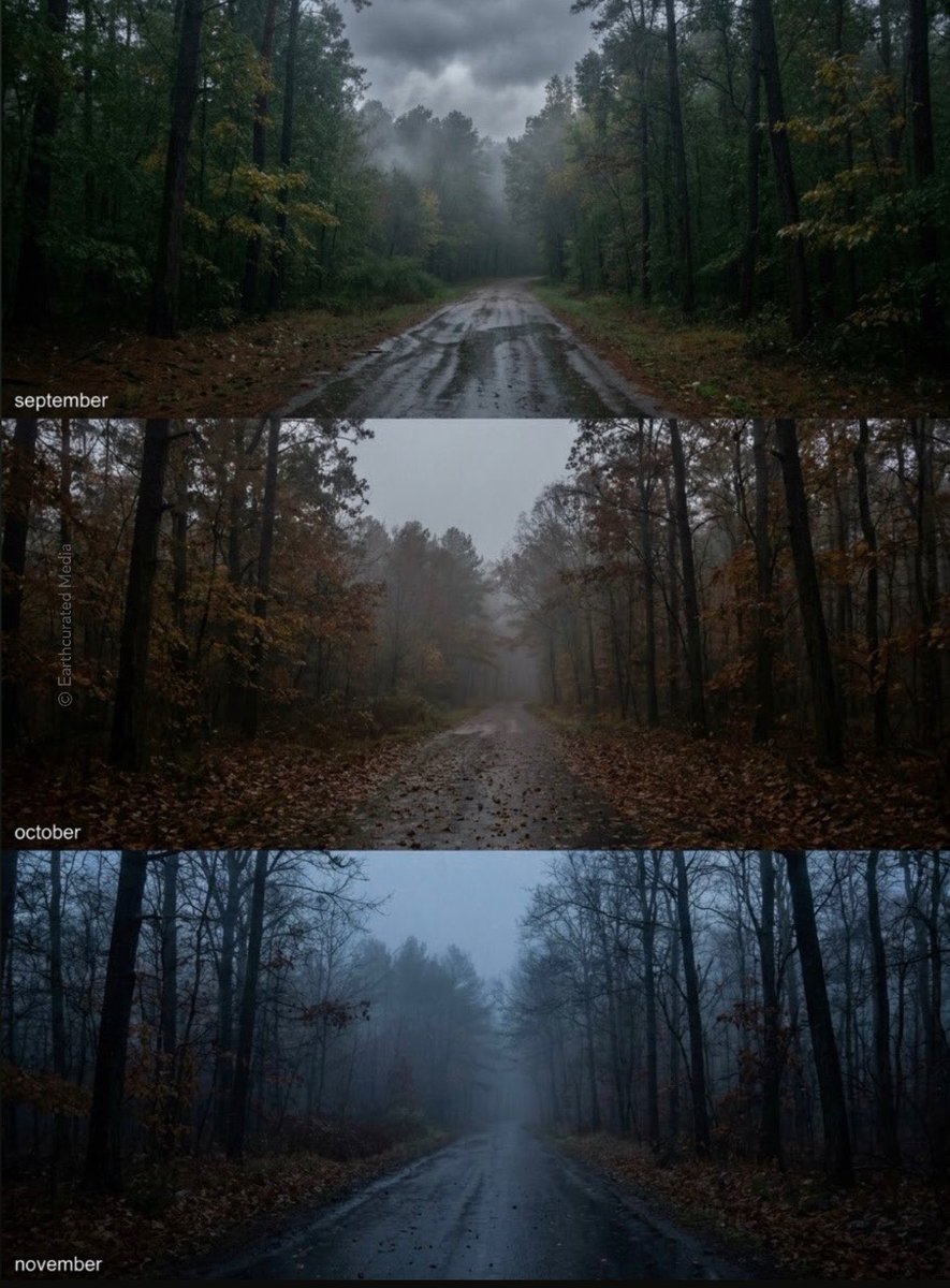 earthcurated's tweet photo. September. October. November.
Three completely different moods. 🍂 https://t.co/9OeQnwvTYX