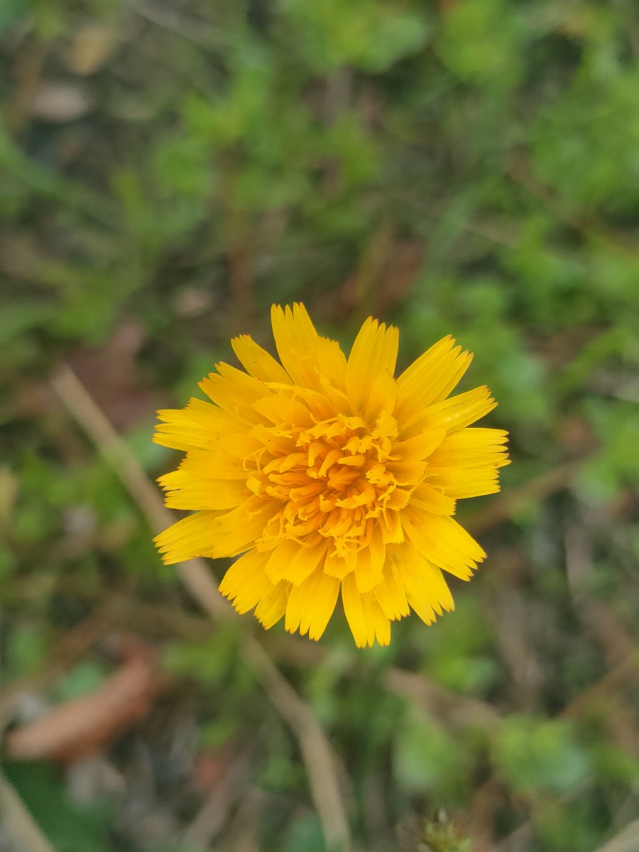 Side80Need's tweet photo. 昨日の分ップン🌂
#STEPN  #STEPNactivationcode 12384720 https://t.co/vPtRNqlPLt
