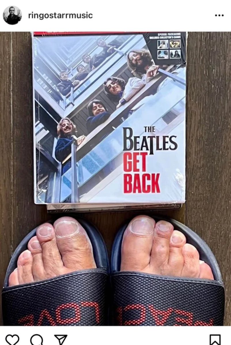 paulmcfreaky's tweet photo. literally ringo😭😭😭😭 https://t.co/oF1zt0SKT0