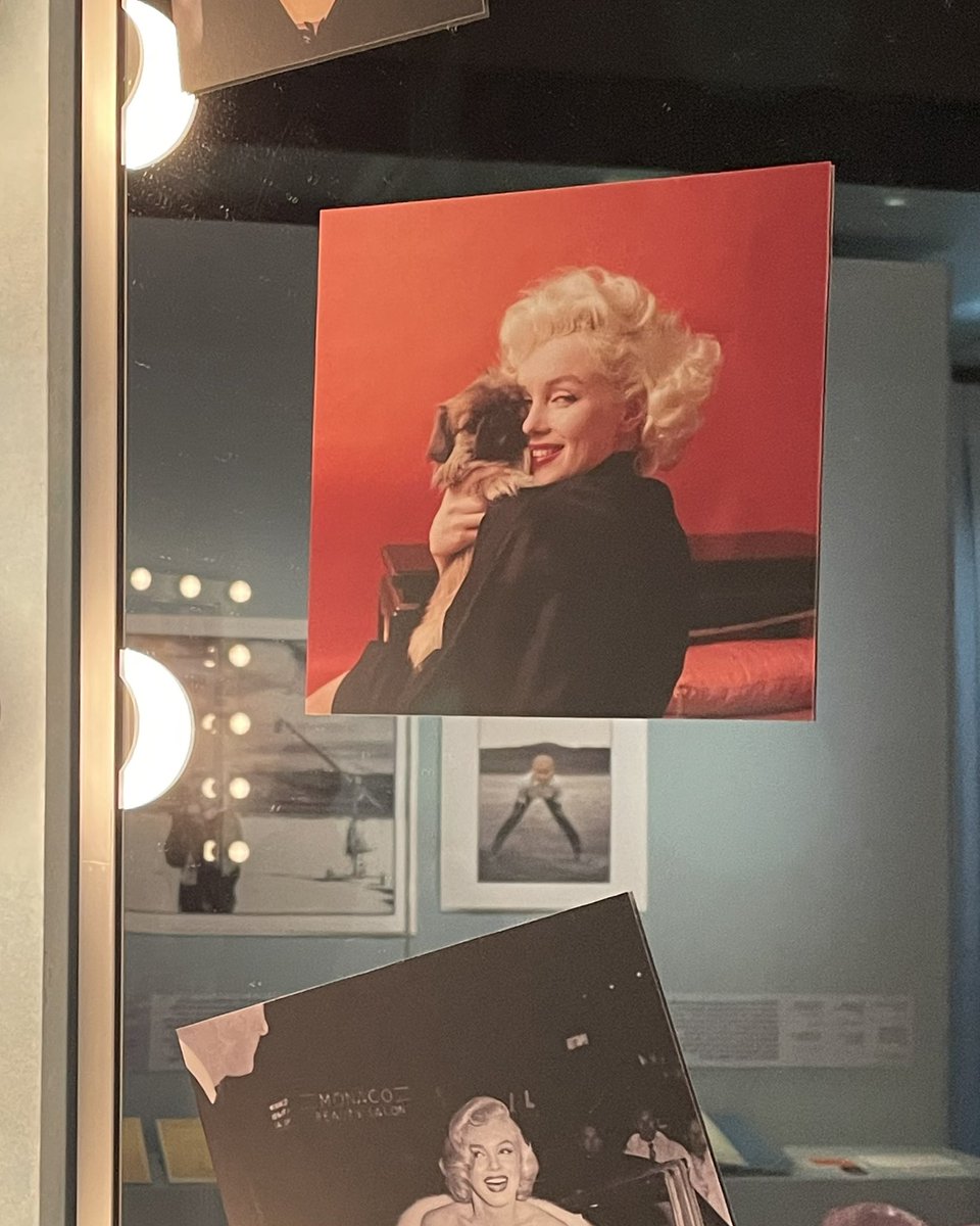 scribetrader's tweet photo. Nice Marilyn Monroe exhibition at the Academy Museum. https://t.co/qSCECBLHgM