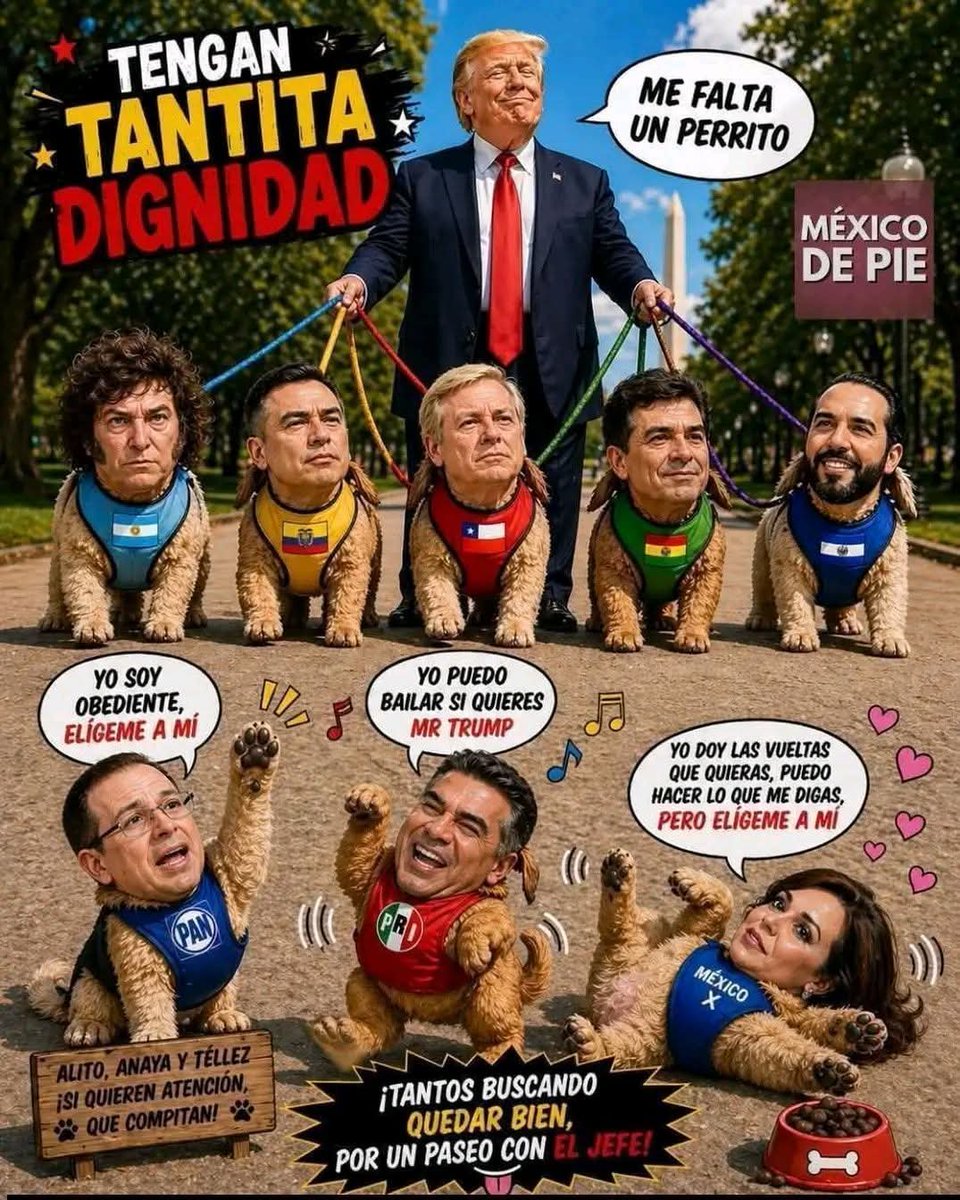 Seiorse10's tweet photo. @AlessandraRdlv Está perrita @AlessandraRdlv está buscando su lugar como la nueva mascota del p3dofilo @realDonaldTrump https://t.co/gb5n0HWQB2