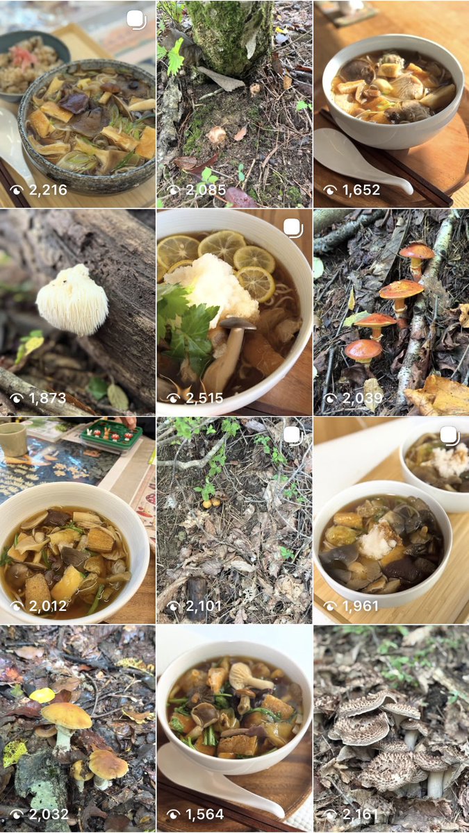 yukkiyhughug's tweet photo. (🍄•᎑•🍄)
2026年　＼天然きのこ蕎麦／　※讃岐うどんも選べるよ
9月23日秋分の日よりスタートです🍄‍🟫

菌友さんあつまれー❣️

同じく天然のきのこ達の炊き込みご飯
玉子焼きなんかも作りたいと思っています。

今年も食べるほどバージョンがアップする
バージョンアップキャンペーンもやるよ！ https://t.co/6Iv1WrqwE9