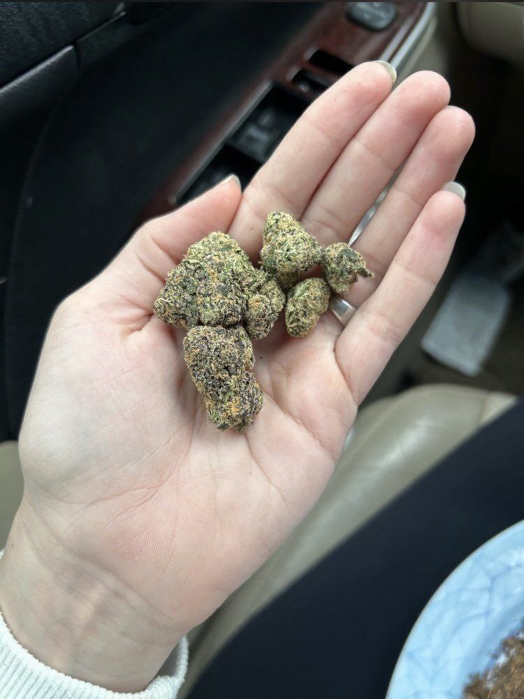 BuddsEmpire's tweet photo. Weed Johnstown, Freshford, Ballyragget, Durrow, Abbeyleix, Stradbally, Mountmellick, Emo, Portarlington, Monasterevin, Rathangan, Newbridge, Kildare, Athy, Castledermot, Ballitore, Timolin, Moone, Kilcullen, Blessington, Poulaphouca, Ballymore Eustace, Valleymount, Hollywood https://t.co/RT8v86mb2O