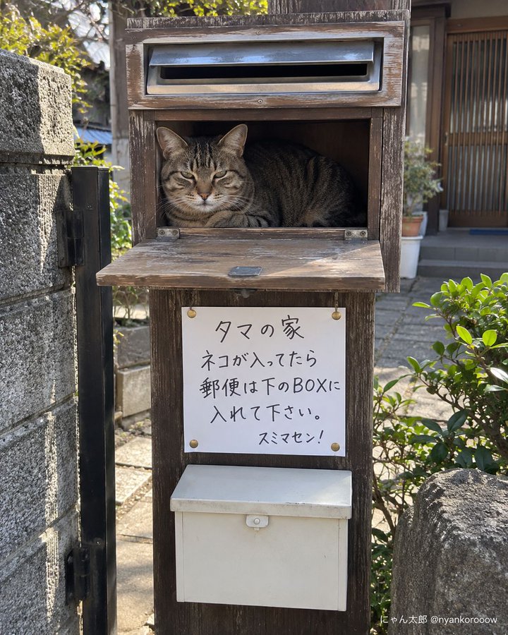 illcommonz's tweet photo. おはよう。 https://t.co/VwB5vMdkom