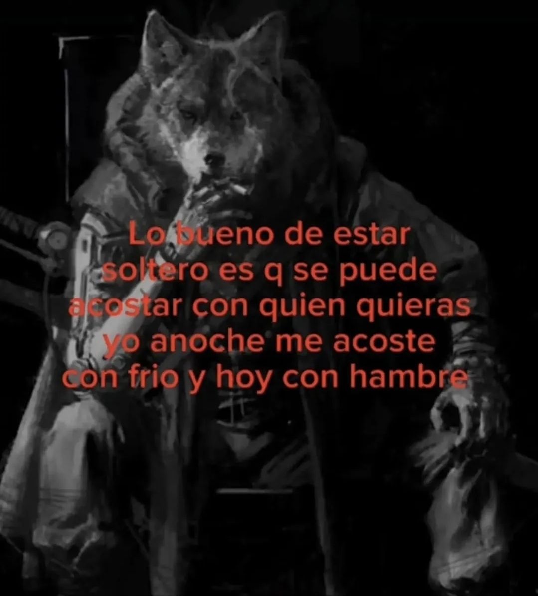 wikipistacho's tweet photo. https://t.co/8NGsZz2Y37